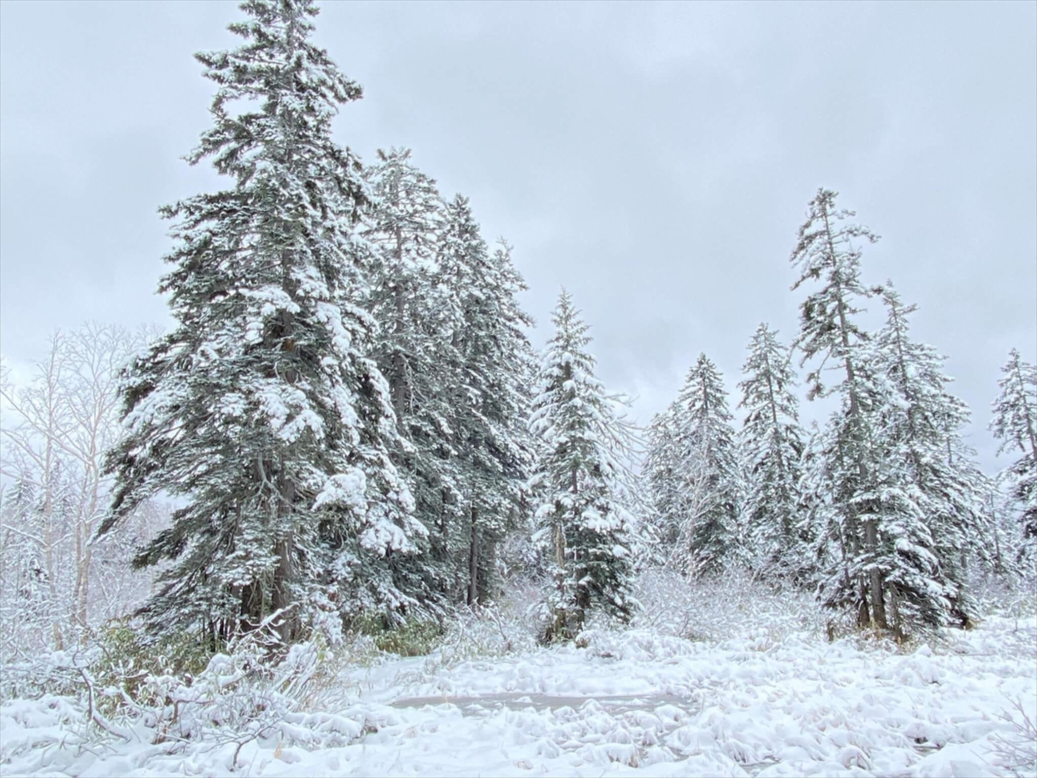 MOTOKYO-Tokyo Guide & Japanese lesson