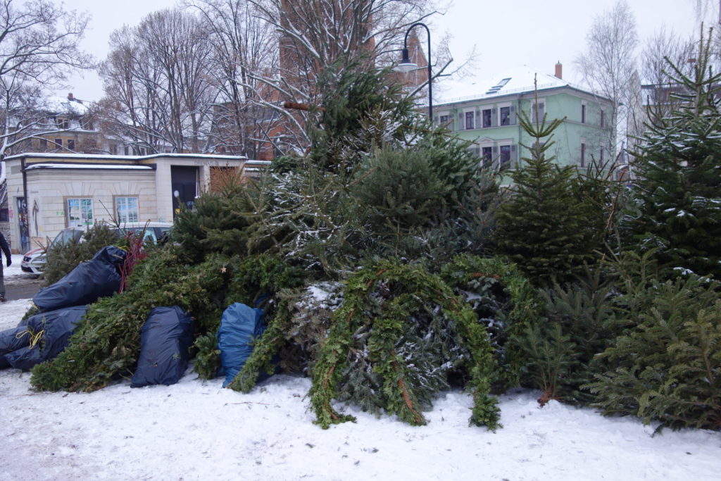 Alsace Alsace R 公式 正規品 クリスマスツリー 120cm 北欧 おしゃれ 樅 高級 ドイツトウヒ アルザスツリー 飾りなし2025ver. : ダイコン卸 直販部 - 通販 - Yahoo!ショッピング
