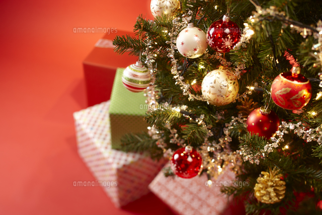 クリスマスツリーの下に置かれたプレゼントボックス 10132106578 の写真・イラスト素材アマナイメージズ