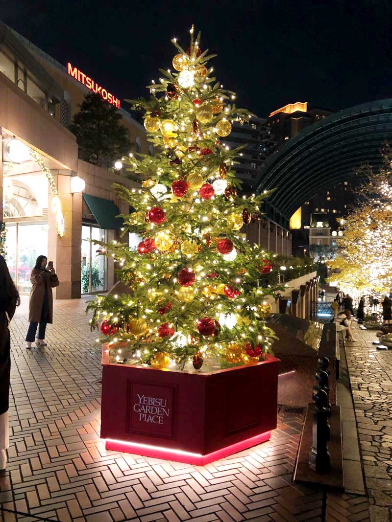 今日、恵比寿ガーデンプレイスに行ったところツリーとバカラの準備が始まっていて、一気にもう年末なんだ〜って感じました😲 ツリーは4年ぶりに復活ということで、今年はさらに盛り上がりを見せそうで楽しみですね🎄開催は11月11日 土 からということで、それまで途中