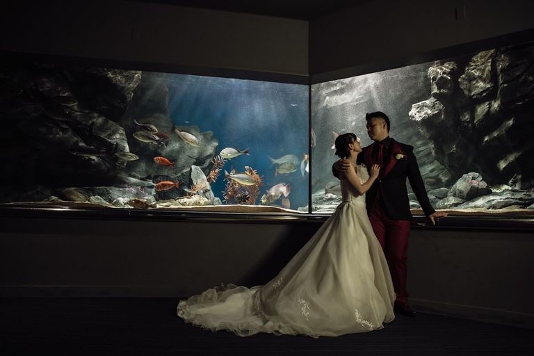 マリンワールド大水槽前での幻想的な挙式＜お子様ゲストも一緒に楽しむWEDDING＞福岡 海の中道のリゾートホテル - ザ・ルイガンズ.THELUIGANS