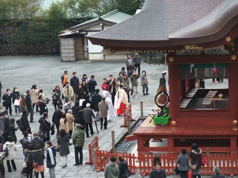 鶴岡八幡宮結婚式 鎌倉ウエディングはアットホームに神社結婚式白無垢レンタル着付けヘアメイク前撮りと東京のウエディングプロデュース