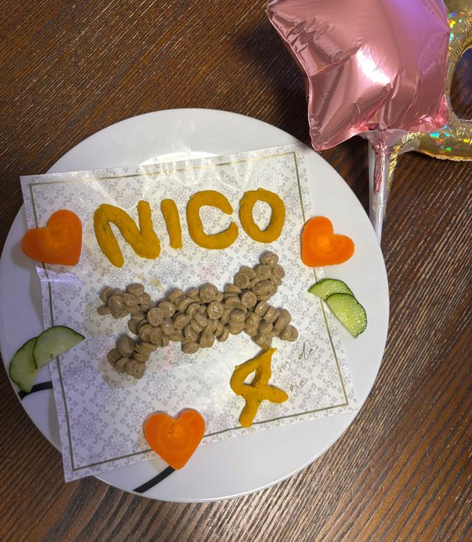 竹ノ塚 東京 の『バースデープレート』特集 グルメ・レストラン予約ホットペッパーグルメ