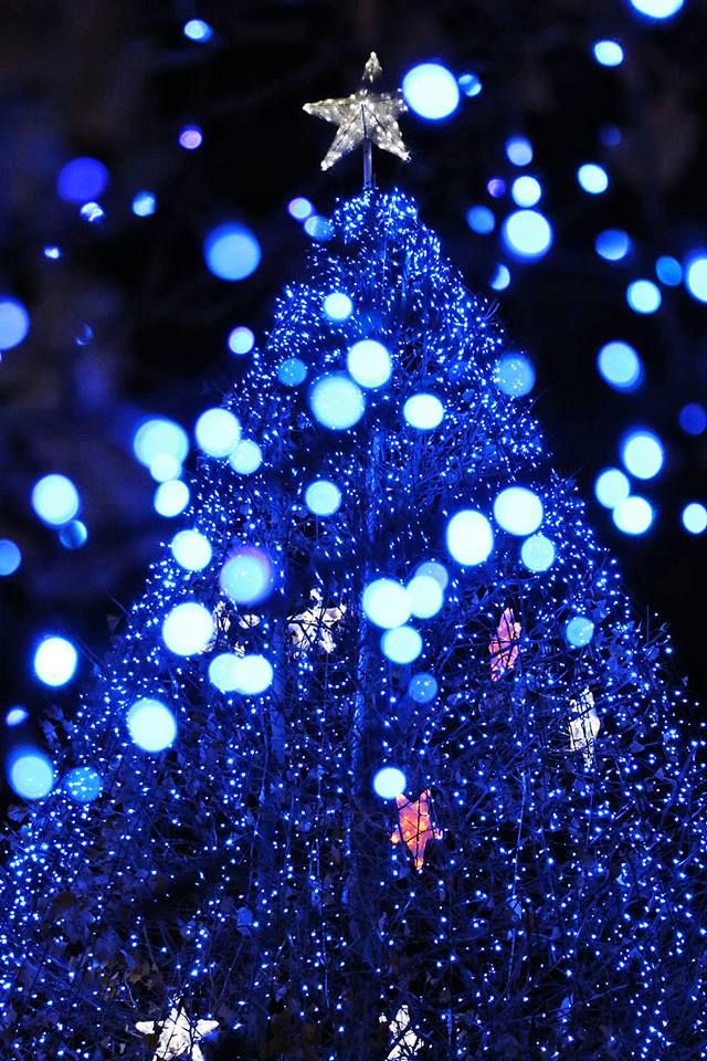 あまりにもおしゃれすぎるクリスマスブースのフリー画像おしゃれ・かわいい無料写真素材：GIRLY DROP