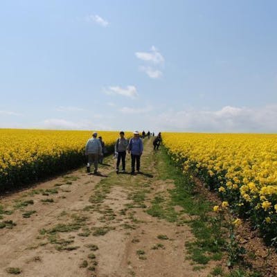陸上自衛隊滝川駐屯地 第１０即応機動連隊 10th -滝川市 菜の花まつり紹介５月１８日 土 ～２６日 日 までの間、滝川 駐屯地隊員が毎年楽しみにしている「２０２４たきかわ菜の花まつり」が開催されています。今年も、キッチンカ―やイベントが盛りだくさん、隊員