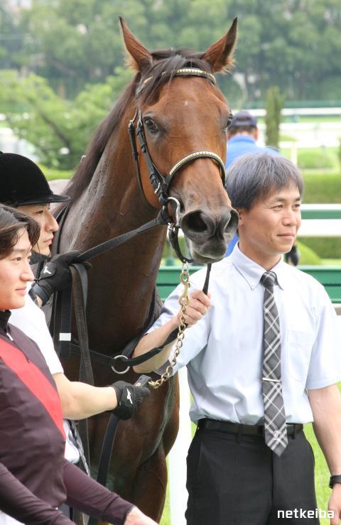 🎁JOYEUXNOEL香椎参道ジョワイユノエル香椎参道joyeuxnoëljoyeuxジョワイユノエルフランス語でメリークリスマス という意味福岡市東区福岡市東区香椎香椎香椎参道焼き菓子焼き菓子店お菓子屋さん洋菓子洋菓子店焼き立てタルト