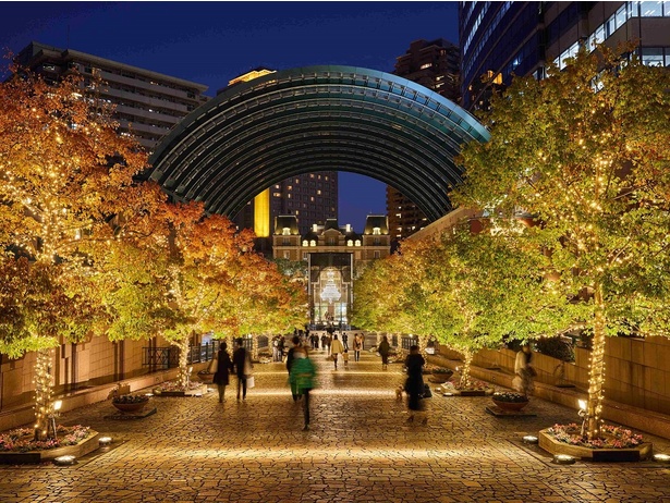 みきちさんの投稿 恵比寿ガーデンプレイス ウィンターイルミネーションことりっぷ