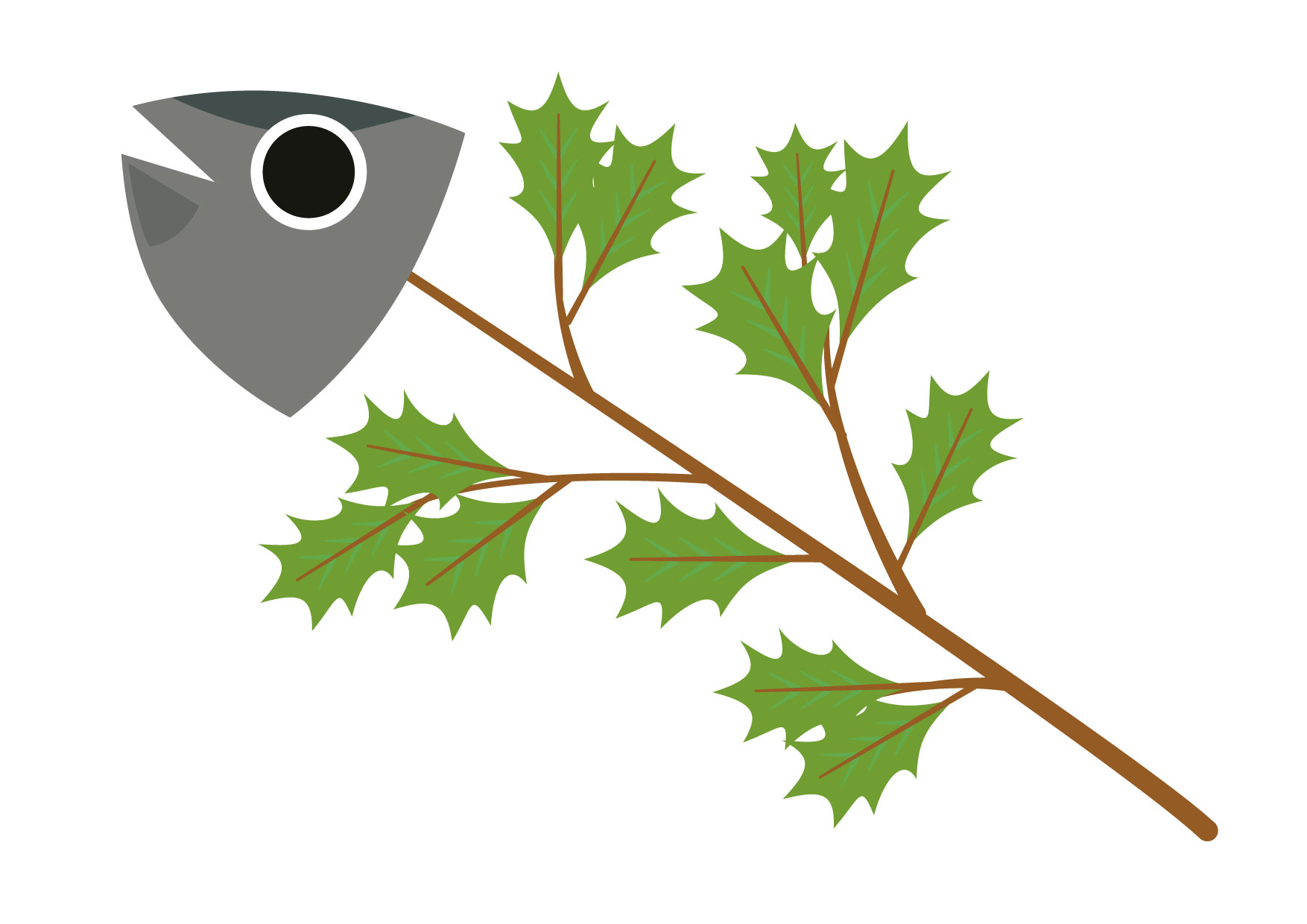 節分 豆まき ヒイラギイワシ 柊鰯 ひいらぎいわし 行事ごと N8