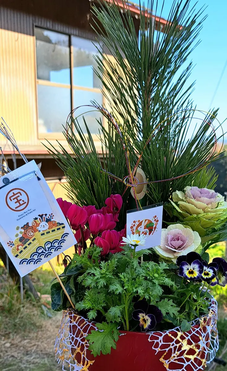 正月の寄せ植えで新年を祝う！おすすめ花材と作り方GardenStoryガーデンストーリー