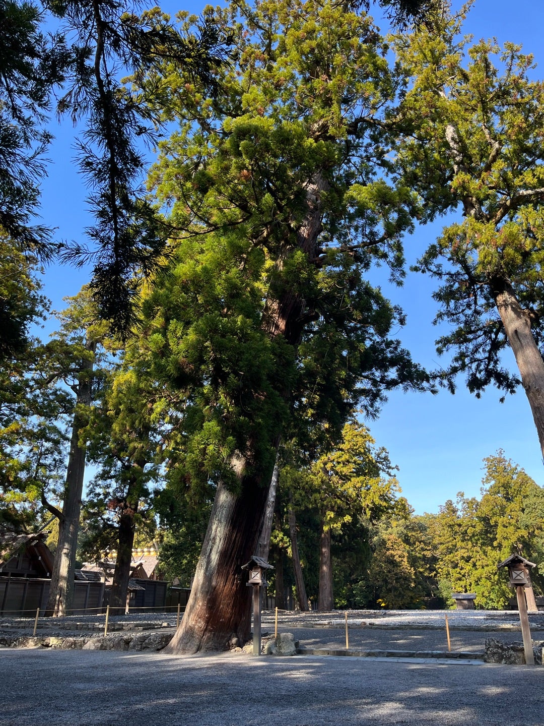 コツあり 伊勢神宮「外宮」参拝へ！所要時間・賽銭箱の数・おすすめガイドブック・無料音声ガイドアプリ情報など♪オトナ女子日記♡