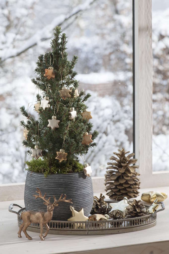 ドイツ伝統のクリスマスを楽しむための9つのポイントELLE DECORエル・デコ