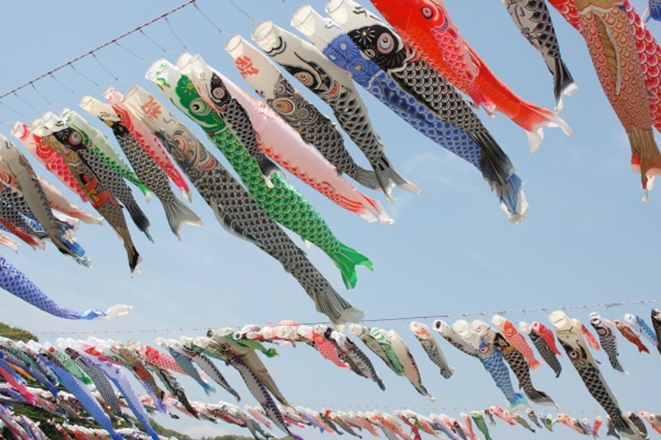 泳げ、みんなの鯉のぼり ５月６日まで 有志が展示イベントさがみはら中央区タウンニュース