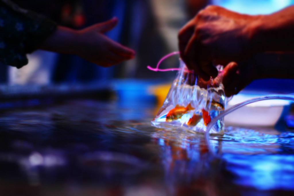 高校生がオススメする「エモい夏の思い出」の作り方 夏休みにしかできないことをしよう高校生新聞オンライン高校生活と進路選択を応援するお役立ちメディア