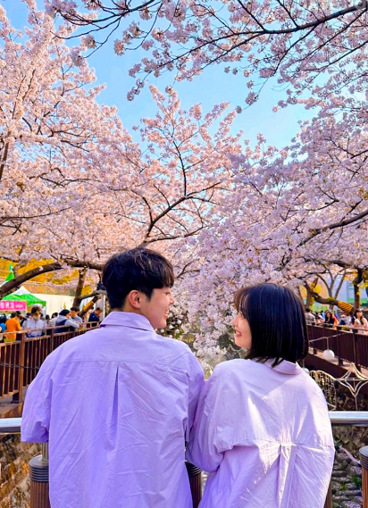 お花見しながらカフェタイム♡韓国・ソウルの桜がきれいなカフェ④選！ - 韓国情報サイト Daon ダオン