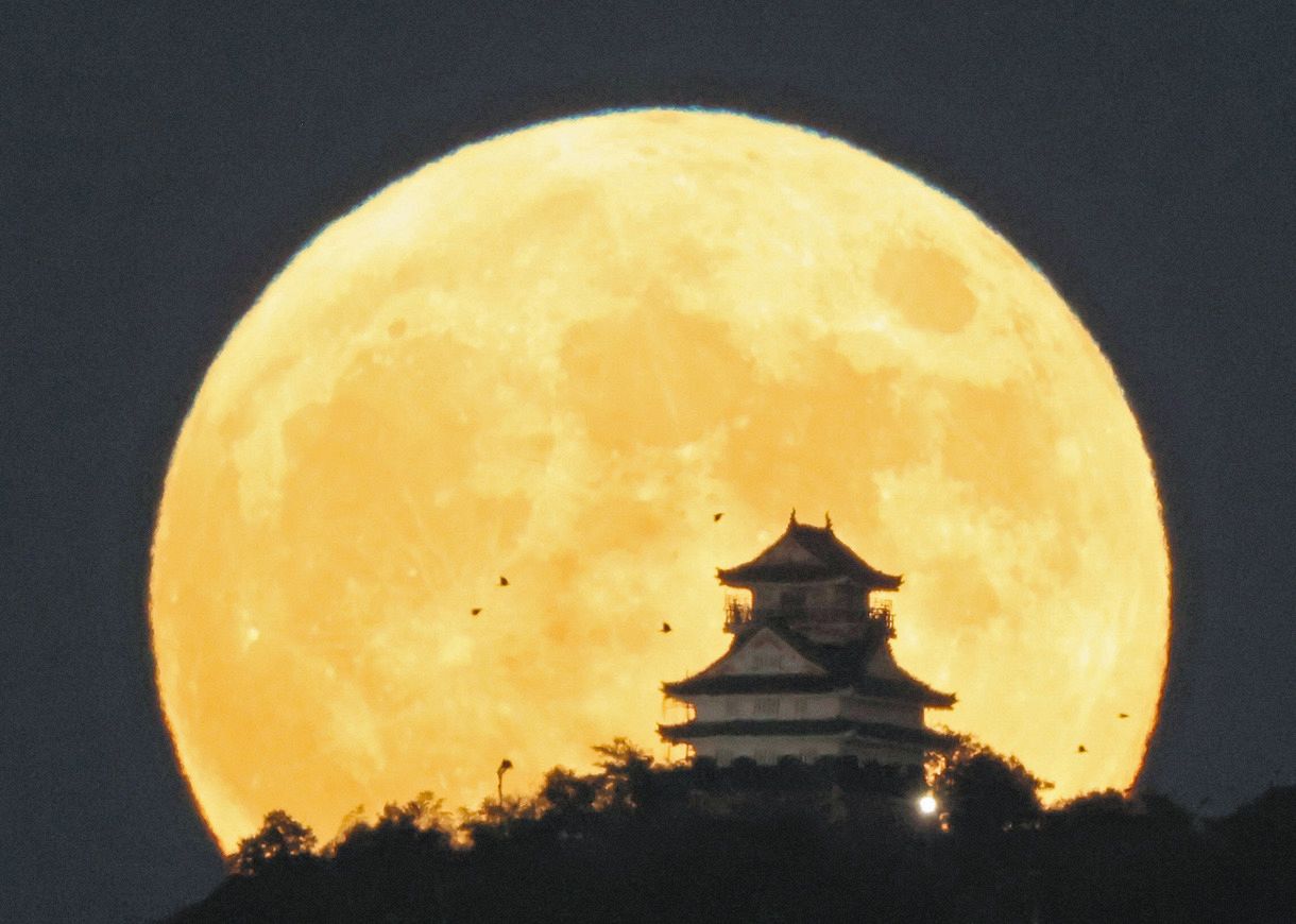 中秋の名月本日は十五夜 「 中秋の名月 」。旧暦では毎月十五日の夜が満月に当たり、特に空気が澄み、月や星の美しい秋 旧暦７月８月９月 の中秋 である旧８月１５日の月が、最も月の美しい「中秋の名月」と呼ばれます。 秋が深まり朝夕の涼しさが増してきましたが