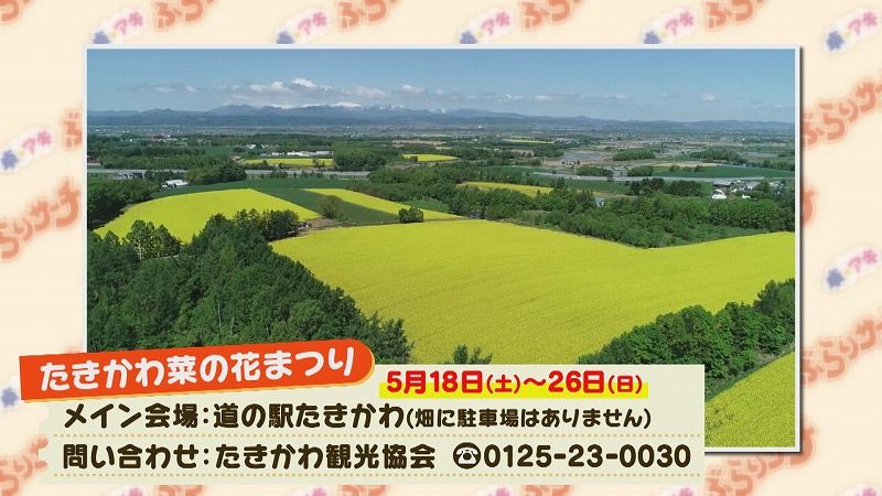 🌷 5 25 土 &26 日 滝川に行きます🌼 菜の花まつり キッチンカーフェス 道の駅たきかわ 10時~16時 滝川市江部乙町東１１丁目１３−３たくさんのご心配ありがとうございました おかげさまで無事復活しました✨ ほっこり優しく美味しく焼いてお待ちしています😊 5 28 火
