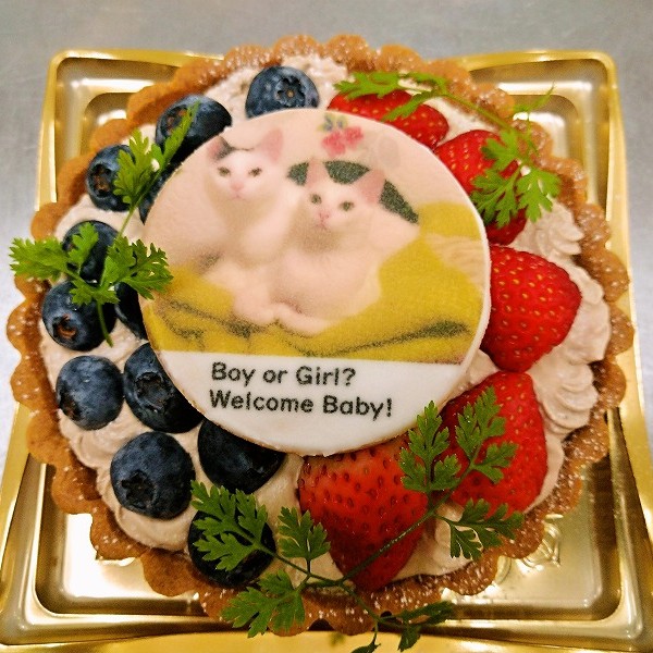 ジェンダーリビールケーキ gender2 夜のケーキ屋さん オンラインショップ 通販