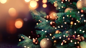 Christmas treeの写真 - 無料の高画質写真をダウンロードFreepik