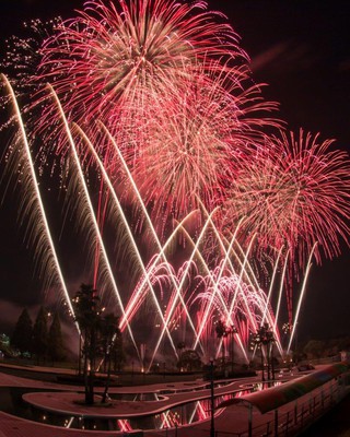 空一面の花火の写真素材FYI00235112ストックフォトの Qlean Market キュリンマーケット