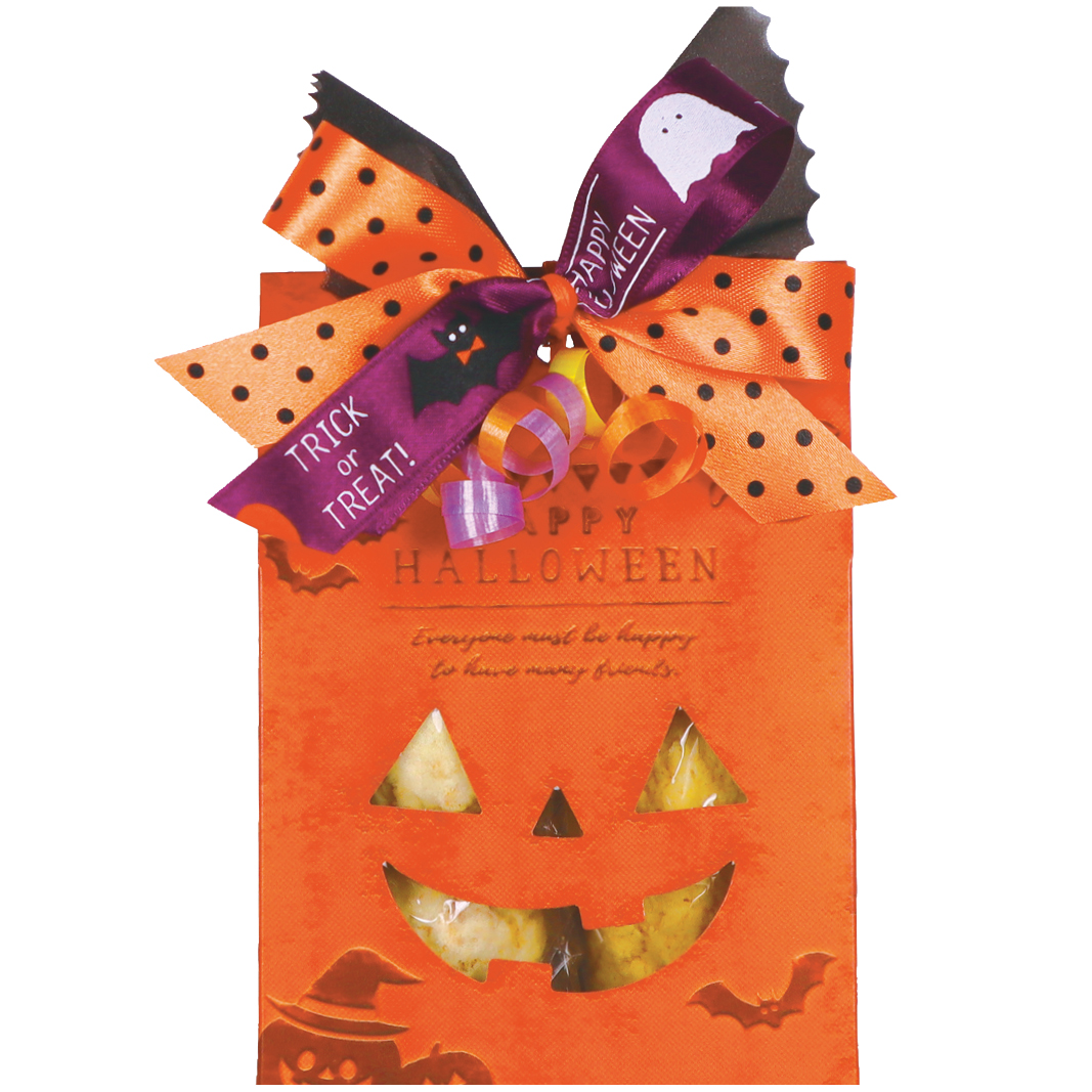 100均のゴムとラッピングリボンのみ！ハロウィンヘアアレンジ&あんふぁん