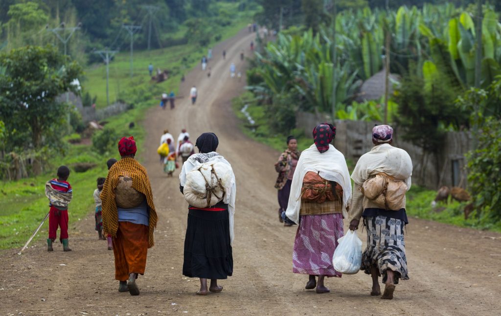 来日したエチオピア正教会のギオルギス主教に聞く 聖ミカエル東京エチオピア正教会 : 教会 : クリスチャントゥデイ