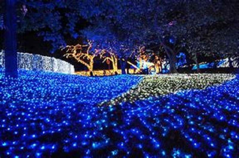 終了 2022年10月8日～2023年2月12日ローザンイルミ2022-2023『ひかり奏でる丘』ROSE & BERRY Tawadaローザンベリー多和田– Gadenetガデネット