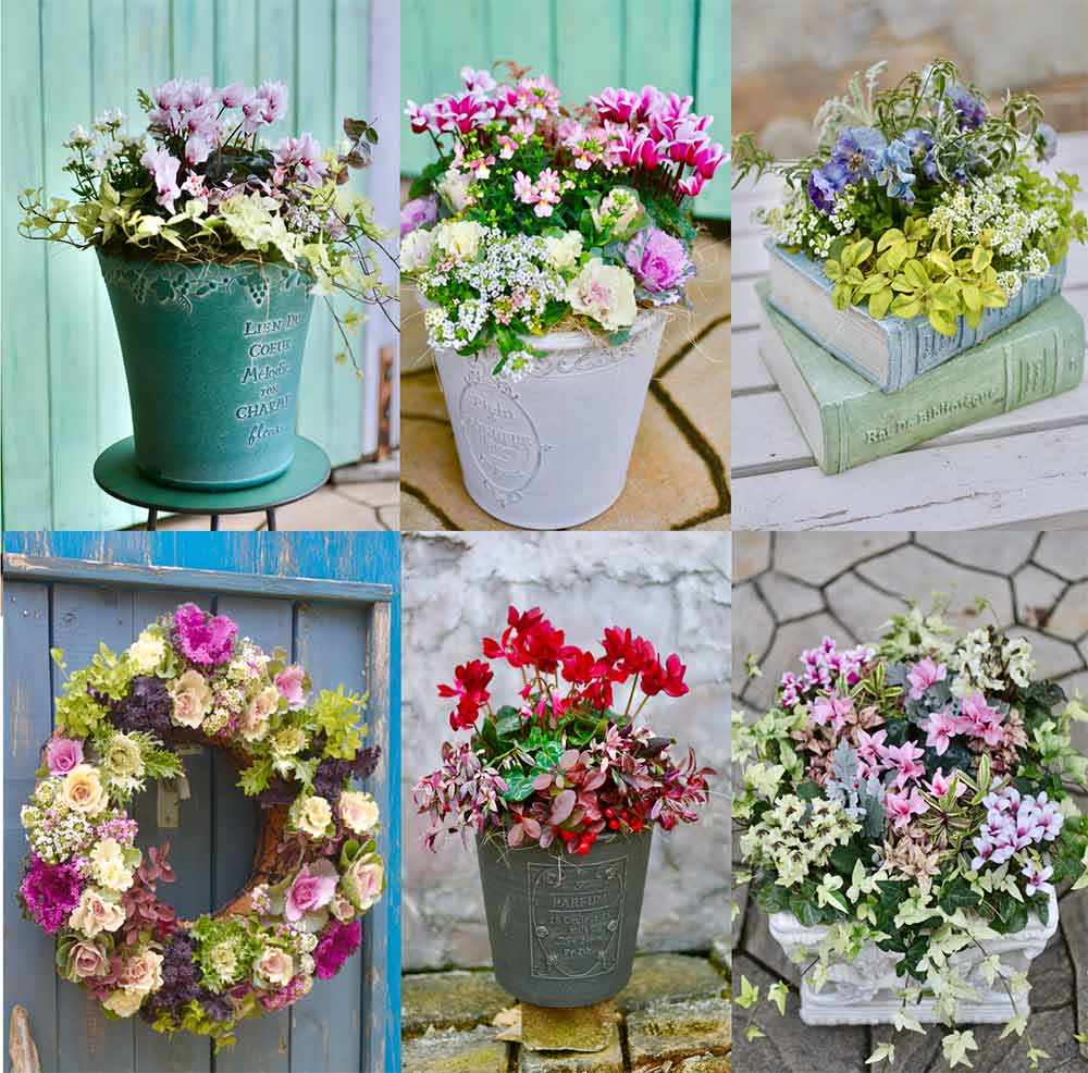 クリスマスを彩る寄せ植えの作り方初心者でもすぐにできる方法や管理のポイントを紹介コーナンTips