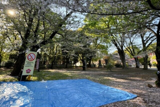 上野公園のお花見の禁止事項と場所取りのポイント・裏技を‥‥知る時が来たか神田明神-御朱印