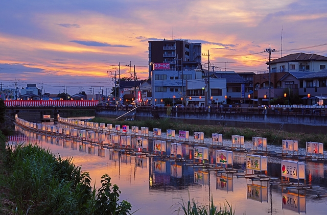 第30回古利根川流灯まつり皆様、おはようございます☀ 杉戸町商工会青年部です。 8 2、8 3に古利根川流灯まつりが開催されます畳一畳分もある日本一大きな灯ろう約250基が、 古利根川を約１kmにわたって埋め尽くすとても幻想的なイベントです✨ ステージではダンス