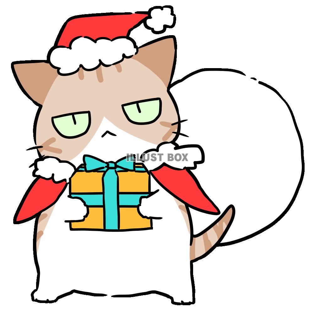 愛猫へ贈るクリスマスプレゼント特集猫ちゃんが喜ぶ人気ギフトとは最高のクリスマスプレゼント2024
