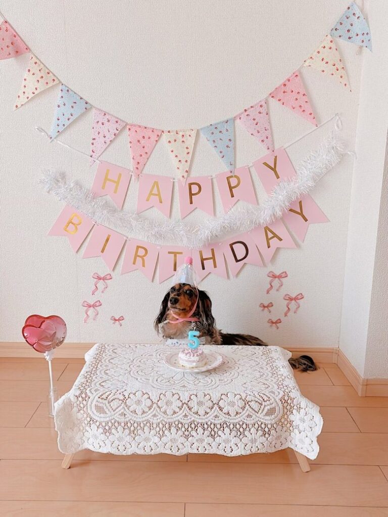 お誕生日の飾り付けはすべてホテルの隣の100均で調達した。色合いなど考えながら、買い物から飾り付けまでわずか1時間で完成！もちろん撮影後ちゃんと片付けしたよ、ホテル側に迷惑かけないように！みんなも大切な人の記念日にやってみてね、きっと喜んでくれます！,., ., ., @sheraton_kobe ,お誕生日会お誕生日パーティーお誕生日飾り付けベッドデコレーション