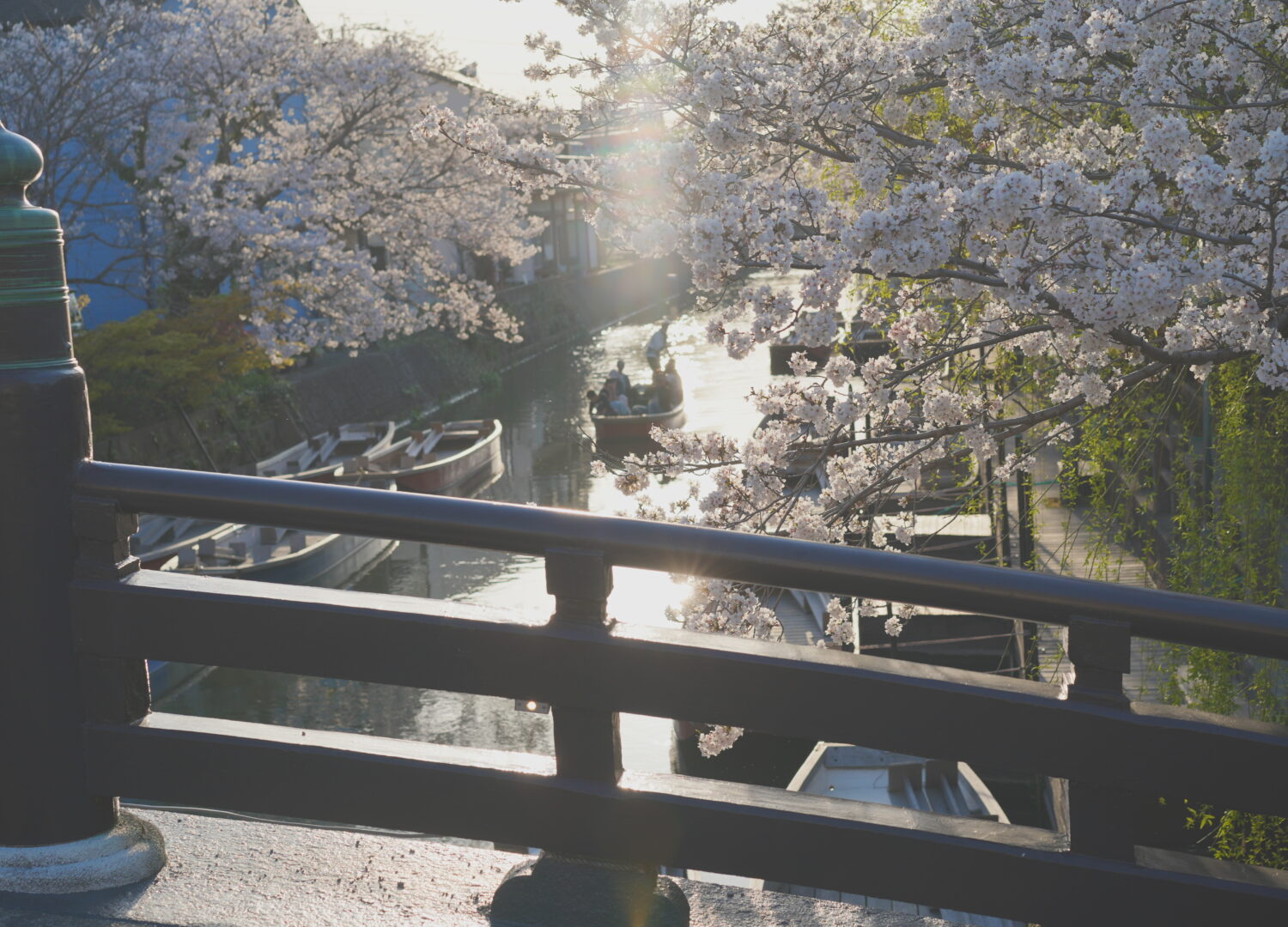 四柱神社 - 松本市 長野県Omairi おまいり