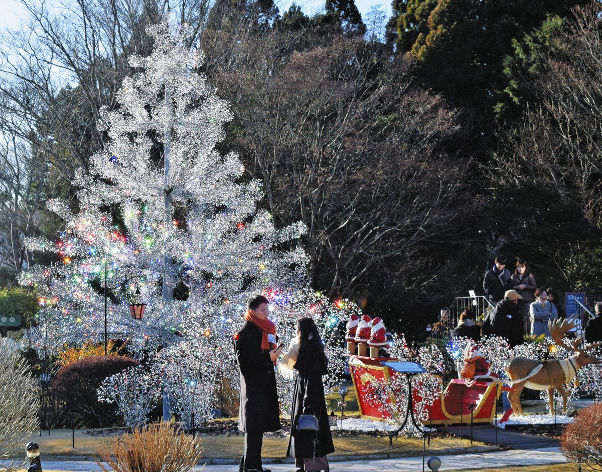 箱根ガラスの森美術館の「クリスタル・イルミネーション」。15万粒のクリスタルガラス輝くクリスマスツリー - OZmall