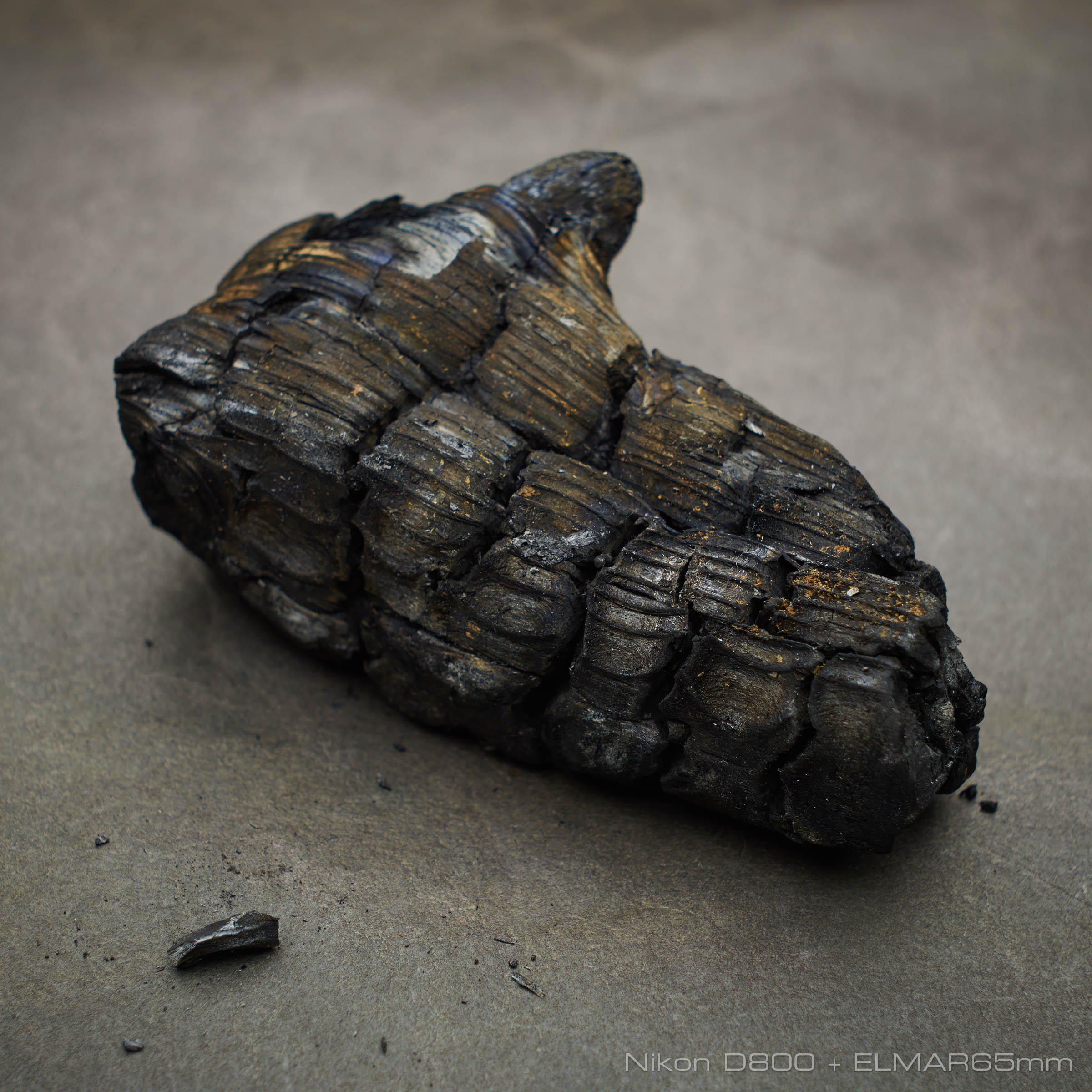 大文字 如意ヶ獄 の消し炭」をエルマー様 ELMAR65mm で撮ってみた 使える機材 Blog