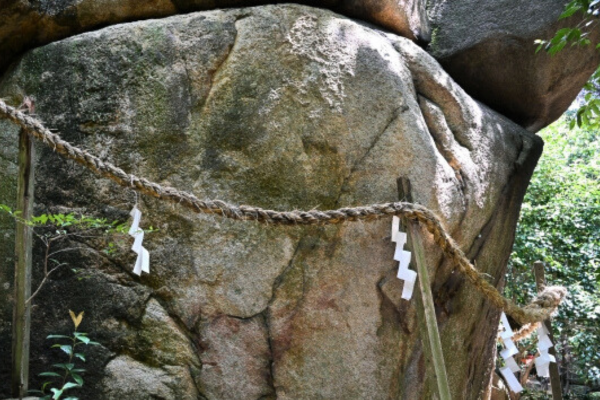 しめ縄の種類は何がある？意味や取り付ける場所、由来を解説 - 株式会社 折橋商店