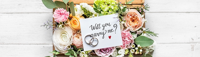 プロポーズにぴったりな花と花言葉14選花言葉・誕生花HanaPrime ハナプライム