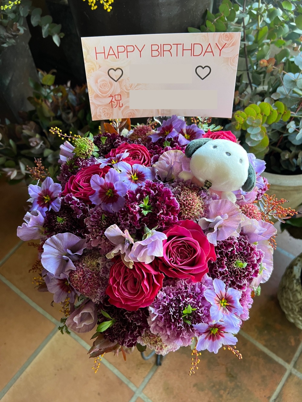 12月の誕生花と花言葉誕生月の花 誕生日フラワーギフト特集12月 誕生日 プリザーブドフラワーギフトならプリザーブドフラワー専門店 花の通販ベル・フルール Yahoo店