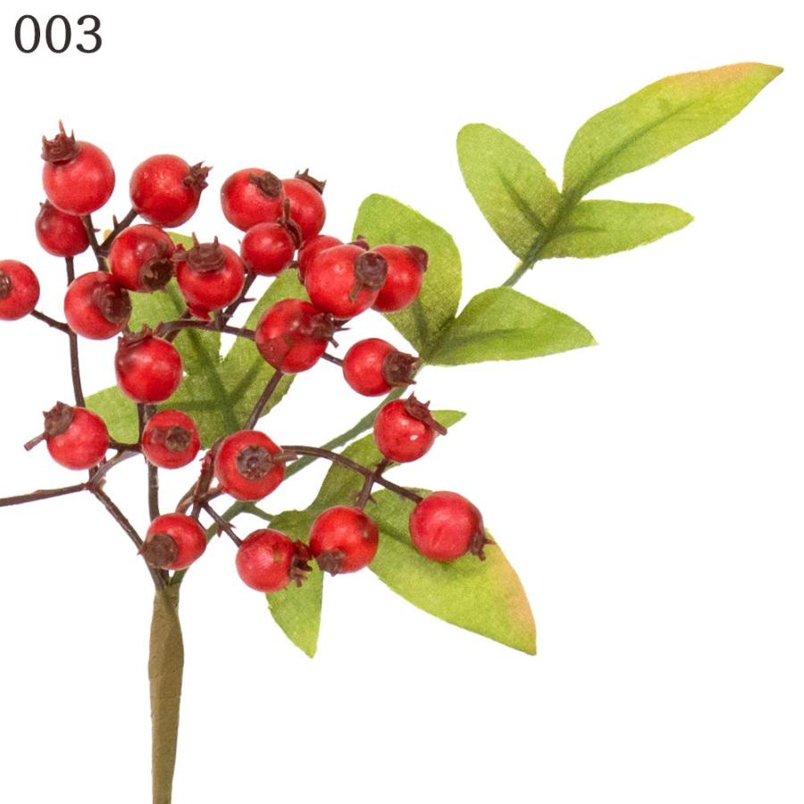 お散歩情報 赤い実チェストHP