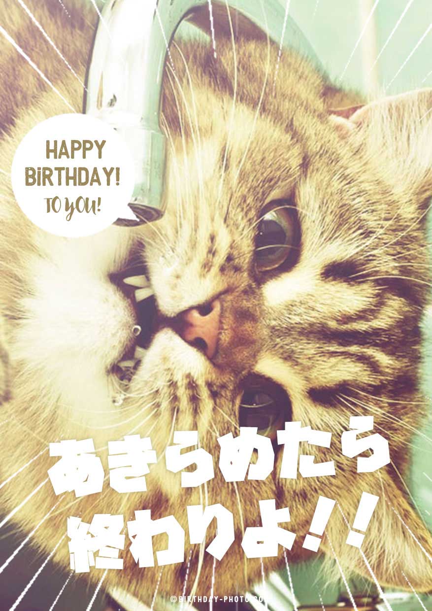 お誕生日おめでとうGIF - 33枚の動くお祝いカードUSAGIF.com