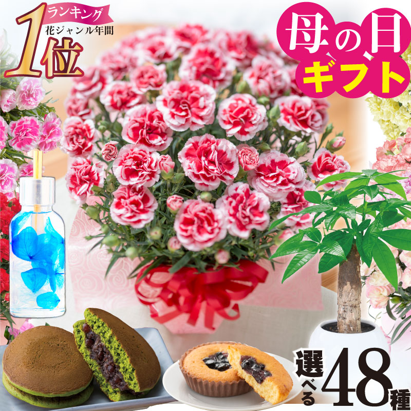 消えもの 母の日ギフト・プレゼント 人気ランキング2025ベストプレゼント