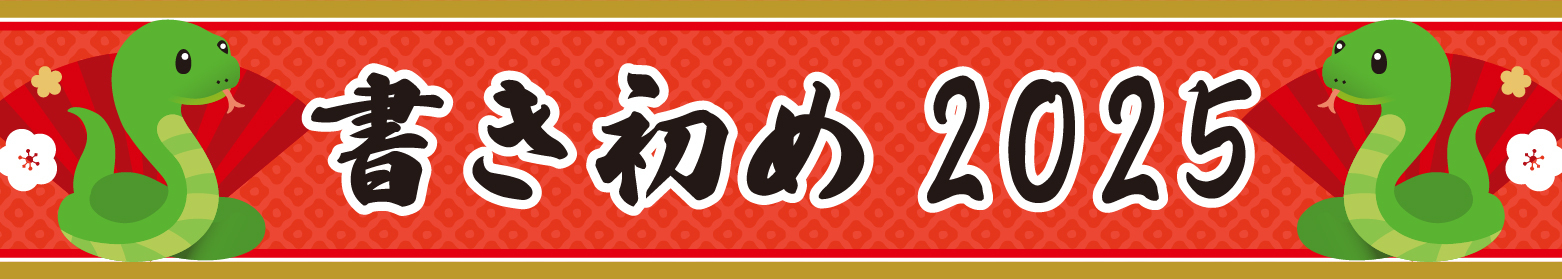 NHK正月時代劇 雪之丞変化2枚組DVD滝沢秀明 中古:未使用・未