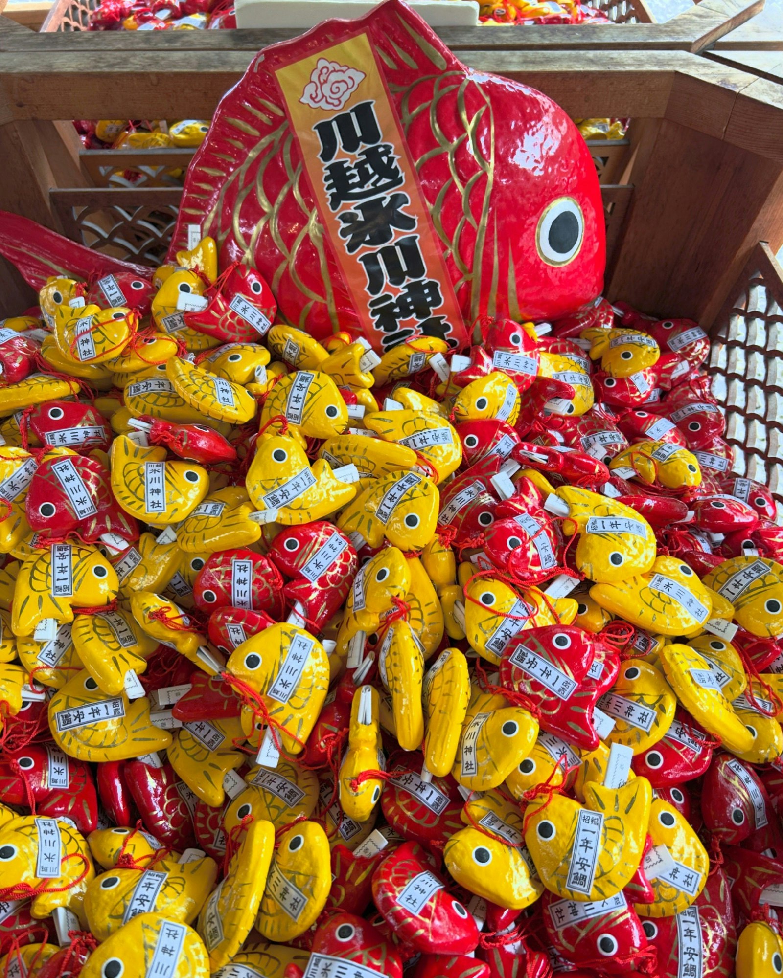 Amazon.co.jp: 川越氷川神社 一年安鯛みくじ ゴールド おみくじ : おもちゃ