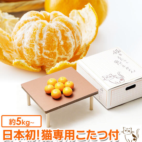 温かいコタツの上にミカンが乗っている冬のイラストのイラスト素材103898421- PIXTA