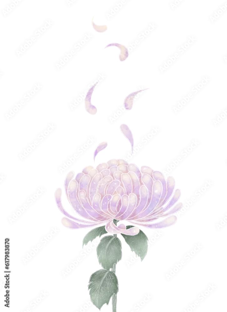 オシャレな菊の花の喪中はがき背景 白黒：イラスト無料