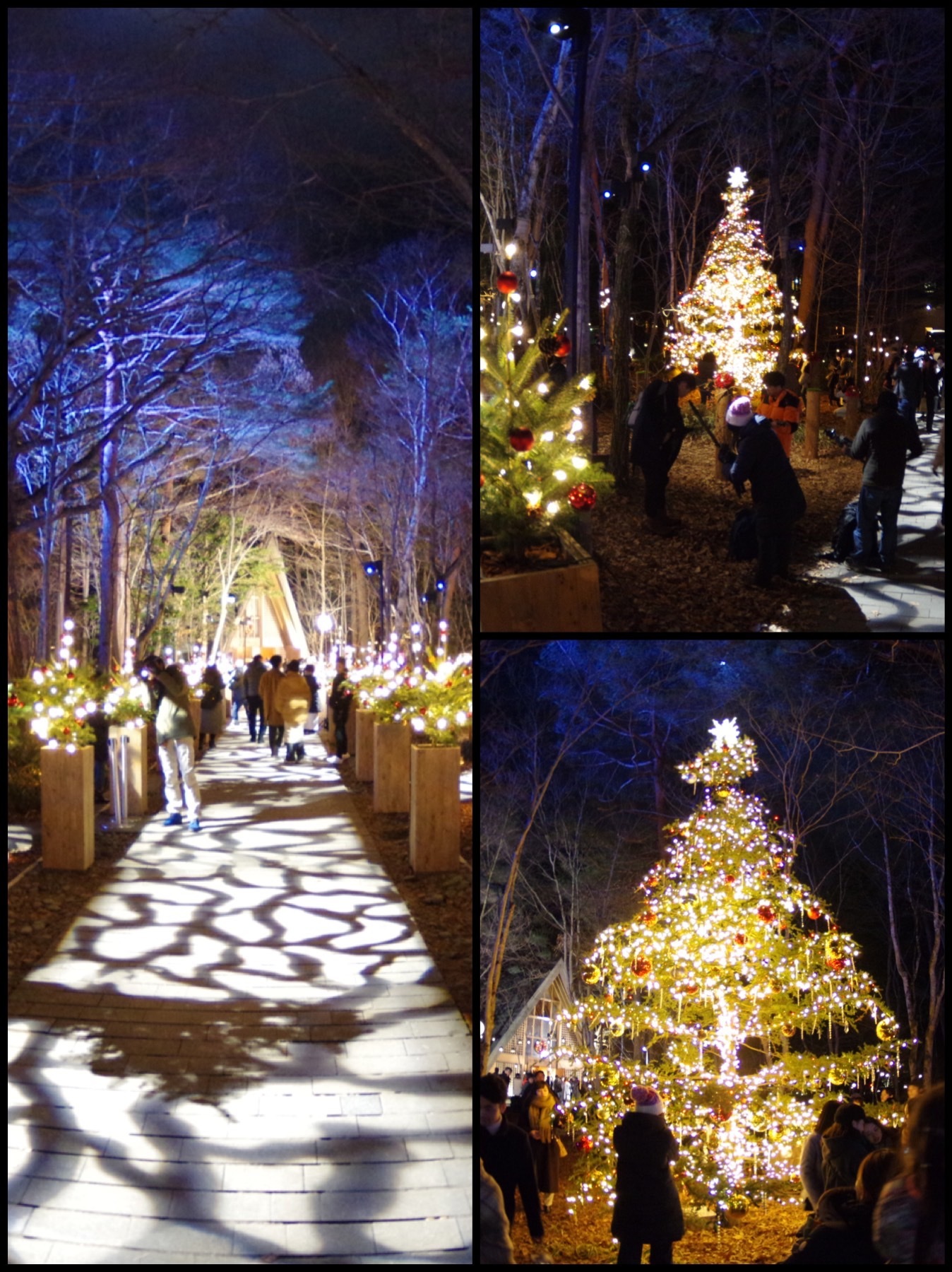 軽井沢高原教会100周年 ＊ 星降る森のクリスマス・2021☆彡 : ぴきょログ～軽井沢でぐーたら生活～