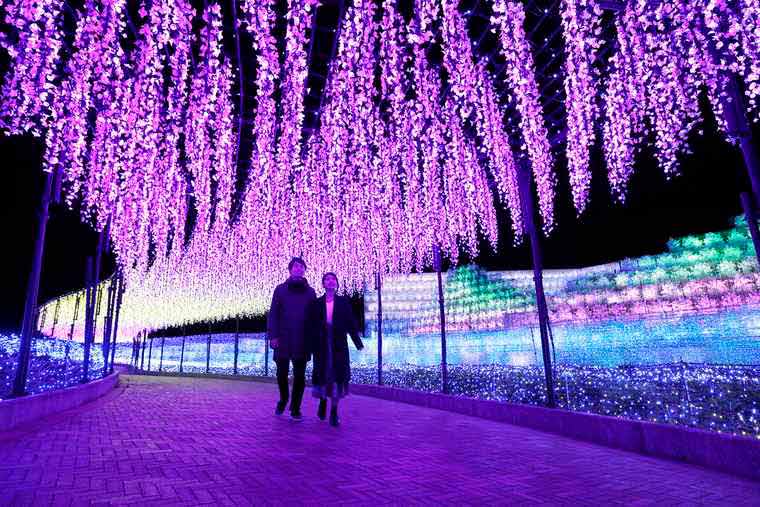 夜はきらめきの絶景、昼は花々の絶景が楽しめる「なばなの里」へ行ってきました！桑名市のおでかけスポット＞絶景＆景色LifeDesigns ライフデザインズ 東海の暮らしのウェブマガジン