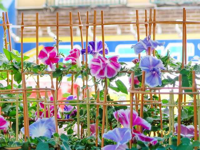 木の枝で手作りする ナチュラルツリー で大人可愛いクリスマス雑貨,インテリアを楽しもう♪オーナメント次第でシャビーにも北欧風にも。クリスマスツリーDIY♪雪見日和