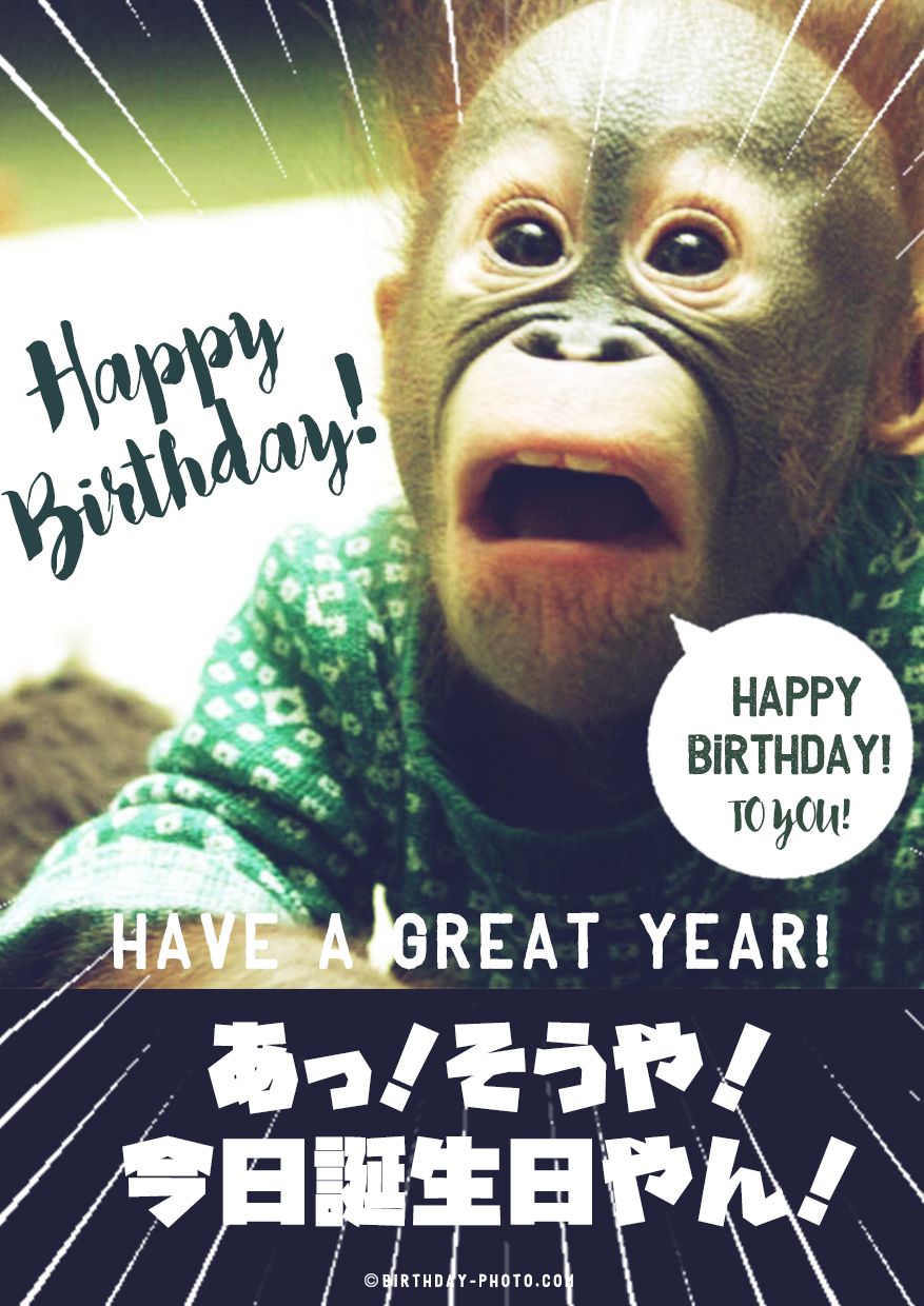 HAPPY BIRTHDAY サプライズ動画🎂 誕生日誕生日動画誕生日サプライズサプライズムービーbirthday