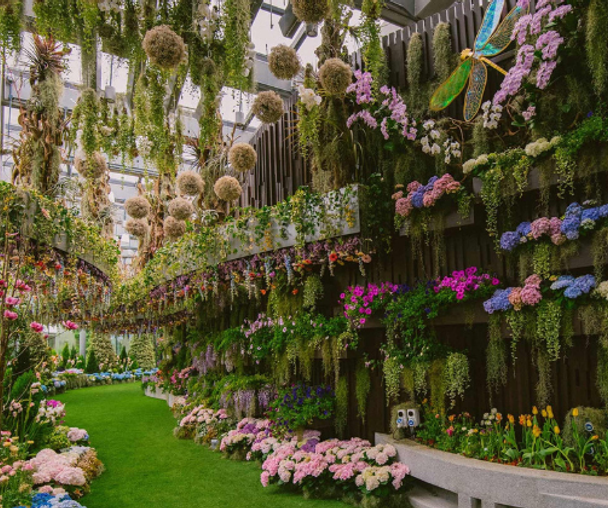 ガーデンズ バイ ザ ベイ入場チケット シンガポール・植物園- KKday