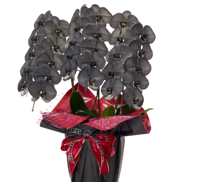 開店祝いには花以外の贈り物を！おしゃれな一品と喜ばれる選び方MOOD MARK IDEA ムードマークアイデア